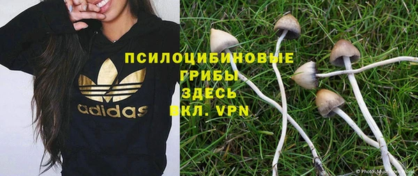 apvp Белоозёрский
