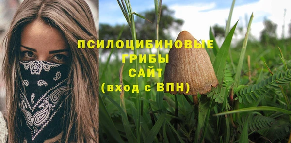 apvp Белоозёрский
